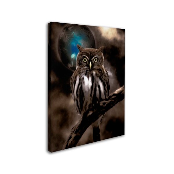 Color Bakery 'Night Owl' Canvas Art,18x24